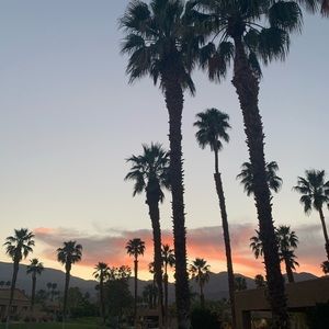 Meet your Posher, Jaime